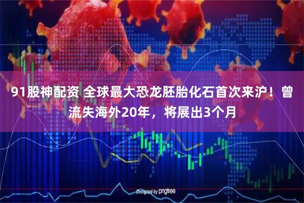 91股神配资 全球最大恐龙胚胎化石首次来沪！曾流失海外20年，将展出3个月