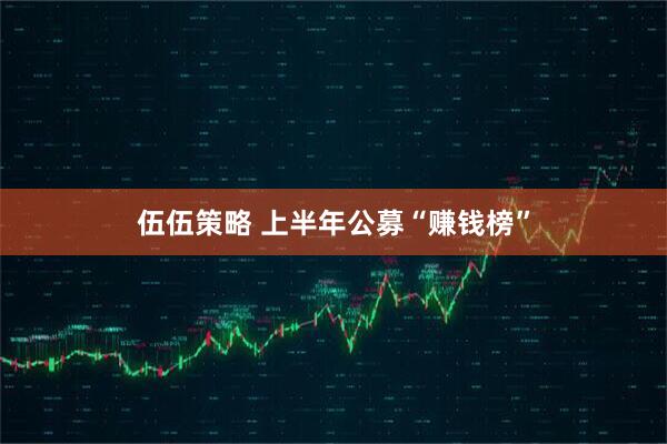伍伍策略 上半年公募“赚钱榜”