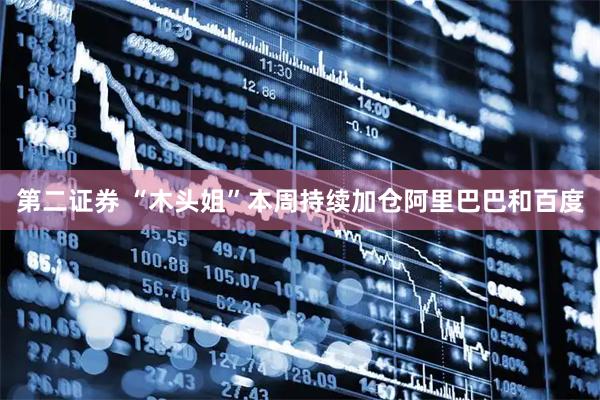 第二证券 “木头姐”本周持续加仓阿里巴巴和百度