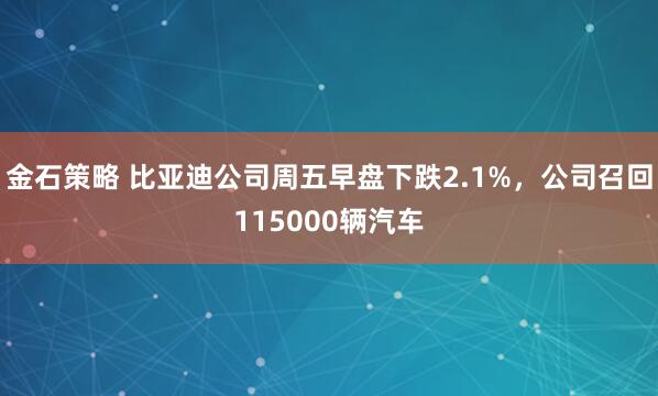 金石策略 比亚迪公司周五早盘下跌2.1%，公司召回115000辆汽车
