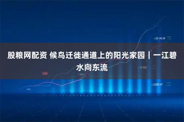 股粮网配资 候鸟迁徙通道上的阳光家园｜一江碧水向东流