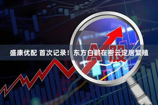 盛康优配 首次记录！东方白鹳在密云定居繁殖